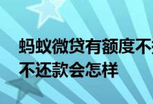 蚂蚁微贷有额度不提现也要还款吗 蚂蚁微贷不还款会怎样