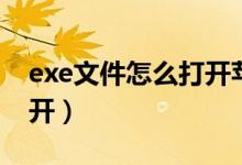 exe文件怎么打开苹果手机（exe文件怎么打开）