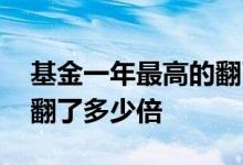 基金一年最高的翻了多少倍 基金一年最高的翻了多少倍
