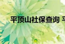 平顶山社保查询 平顶山个人社保卡查询