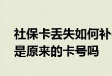 社保卡丢失如何补办可以异地办理吗 补办还是原来的卡号吗 