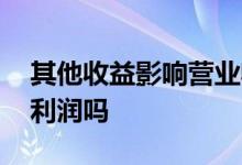 其他收益影响营业收入吗 其他收益影响营业利润吗