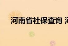 河南省社保查询 河南省个人社保卡查询