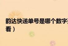 韵达快递单号是哪个数字开头的（韵达快递单号是哪个怎么看）