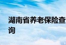 湖南省养老保险查询 湖南省个人养老保险查询