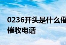 0236开头是什么催款电话 021开头的是什么催收电话
