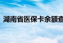 湖南省医保卡余额查询 湖南省医疗保险查询