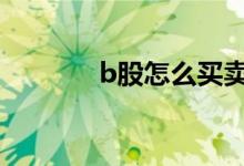 b股怎么买卖视频 b股怎么买