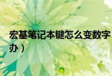 宏基笔记本键怎么变数字（宏基笔记本键盘字母变数字怎么办）