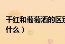 干红和葡萄酒的区别（干红和葡萄酒的区别是什么）