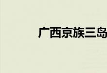 广西京族三岛位置（广西京族）