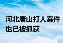 河北唐山打人案件：最后一名外省籍涉案人员也已被抓获