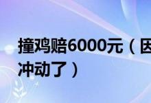 撞鸡赔6000元（因一只鸡引发流血打斗案太冲动了）