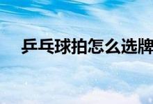 乒乓球拍怎么选牌子（乒乓球拍怎么选）