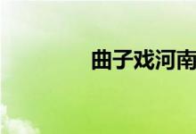 曲子戏河南曲剧（曲子戏）