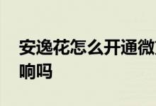安逸花怎么开通微支付 安逸花开通不用有影响吗