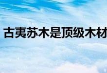 古夷苏木是顶级木材吗（古夷苏木是什么木）