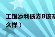 工银添利债券B该基金赚钱吗（该基金公司怎么样）