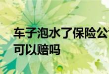 车子泡水了保险公司要赔吗 车子泡水了保险可以赔吗