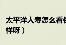 太平洋人寿怎么看保险类型（太平洋人寿怎么样呀）