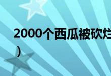 2000个西瓜被砍烂（背后的真相到底是什么）