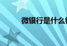 微银行是什么银行 微银行是什么