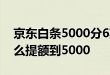 京东白条5000分6期利息是多少 京东白条怎么提额到5000