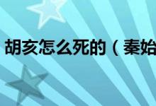 胡亥怎么死的（秦始皇之子胡亥是怎么死的）