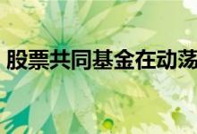 股票共同基金在动荡的市场中安全的MF押注