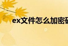 ex文件怎么加密码（ex文件怎么打开）