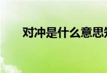 对冲是什么意思知乎 对冲是什么意思