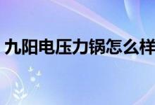 九阳电压力锅怎么样（压力锅和高压锅区别）