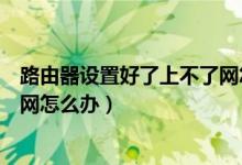 路由器设置好了上不了网怎么回事（路由器设置好了上不了网怎么办）