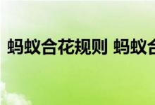 蚂蚁合花规则 蚂蚁合花能不能看对方的流水