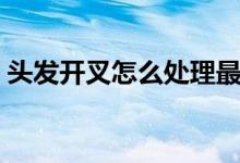 头发开叉怎么处理最有效（头发开叉怎么办）