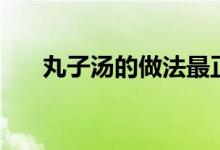 丸子汤的做法最正宗的做法（丸子汤）