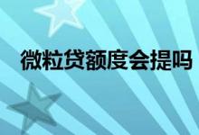 微粒贷额度会提吗 微粒贷点开就上征信吗