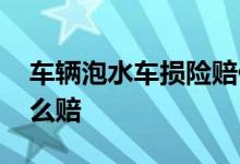 车辆泡水车损险赔付多少 车子泡水车损险怎么赔