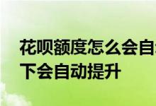 花呗额度怎么会自动提升 花呗额度什么情况下会自动提升