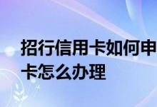 招行信用卡如何申请visa卡 办招行visa信用卡怎么办理