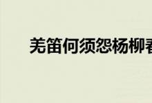 羌笛何须怨杨柳春风不度玉门关（羌）