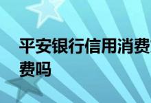 平安银行信用消费贷款 信用贷款只能用于消费吗