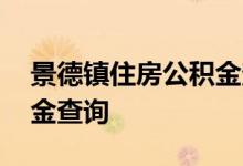 景德镇住房公积金查询 景德镇个人住房公积金查询