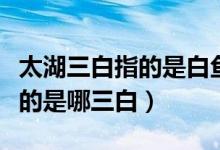 太湖三白指的是白鱼白虾和白纱（太湖三白指的是哪三白）
