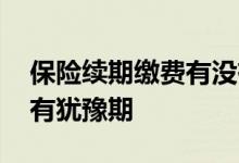 保险续期缴费有没有犹豫期 好医保续期有没有犹豫期