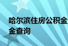 哈尔滨住房公积金查询 哈尔滨个人住房公积金查询