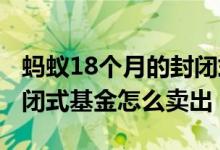 蚂蚁18个月的封闭式基金怎么样了 18个月封闭式基金怎么卖出