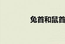 兔首和鼠首的照片（兔首）
