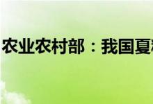 农业农村部：我国夏粮主产区收获小麦近八成