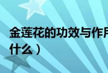 金莲花的功效与作用（金莲花的功效与作用是什么）